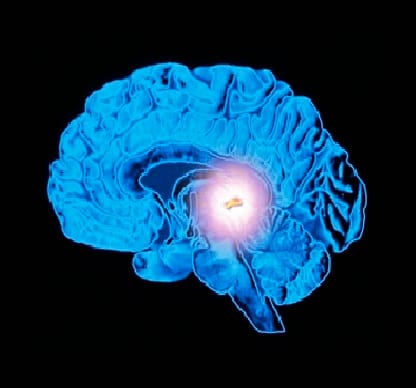 Pineal Gland Dimaagh ka Posheeda Raaz aur Super Power ki Chaabi 1 1